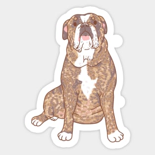 Brindle Bulldog Sticker